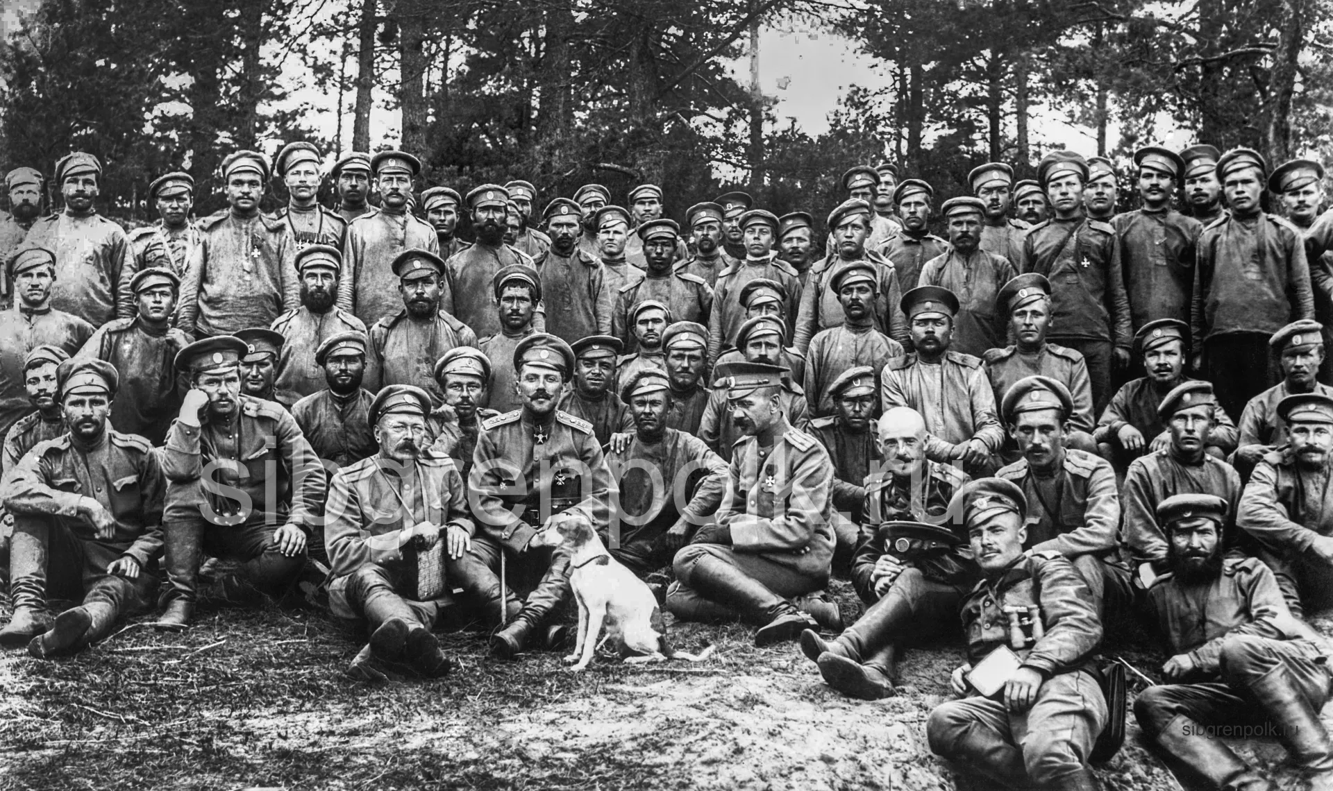 Командир полка полковник Савченко С.Н. с офицерами и нижними чинами полка. Справа от него сидит: командир 1 батальона капитан Быковский И.А.; слева - 10-го гренадерского Малороссийского полка полковник Тимофеев Владимир Александрович, на переднем плане, в кожаной куртке с биноклем лежит поручик Печников Ф.Ф., кавалер золотого Георгиевского оружия. Фото 1915 год. (РГВИА).