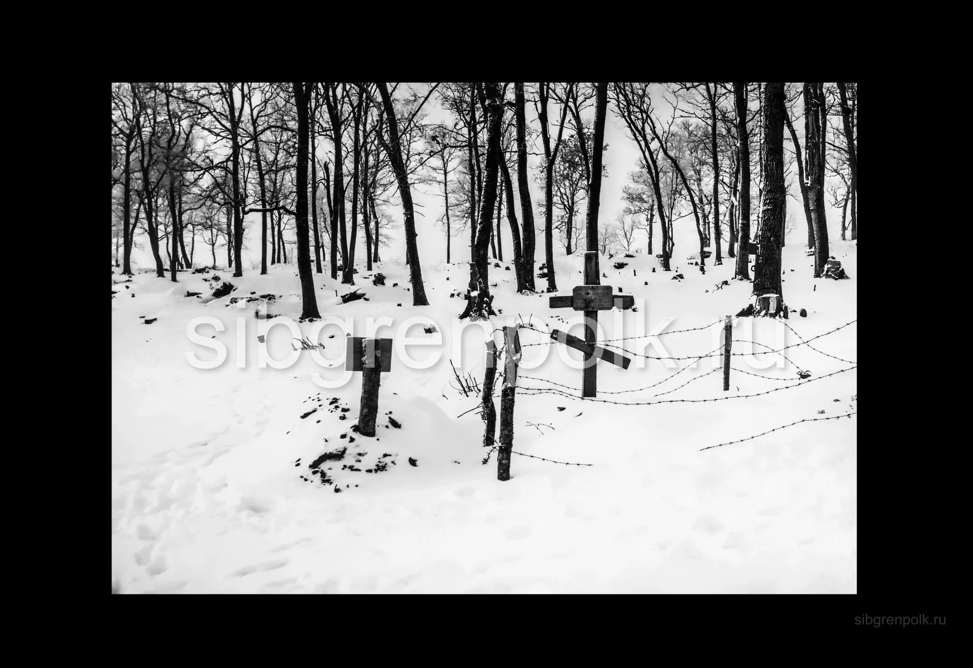 Полковое кладбище у д. Шельвов. (РГАКФД)