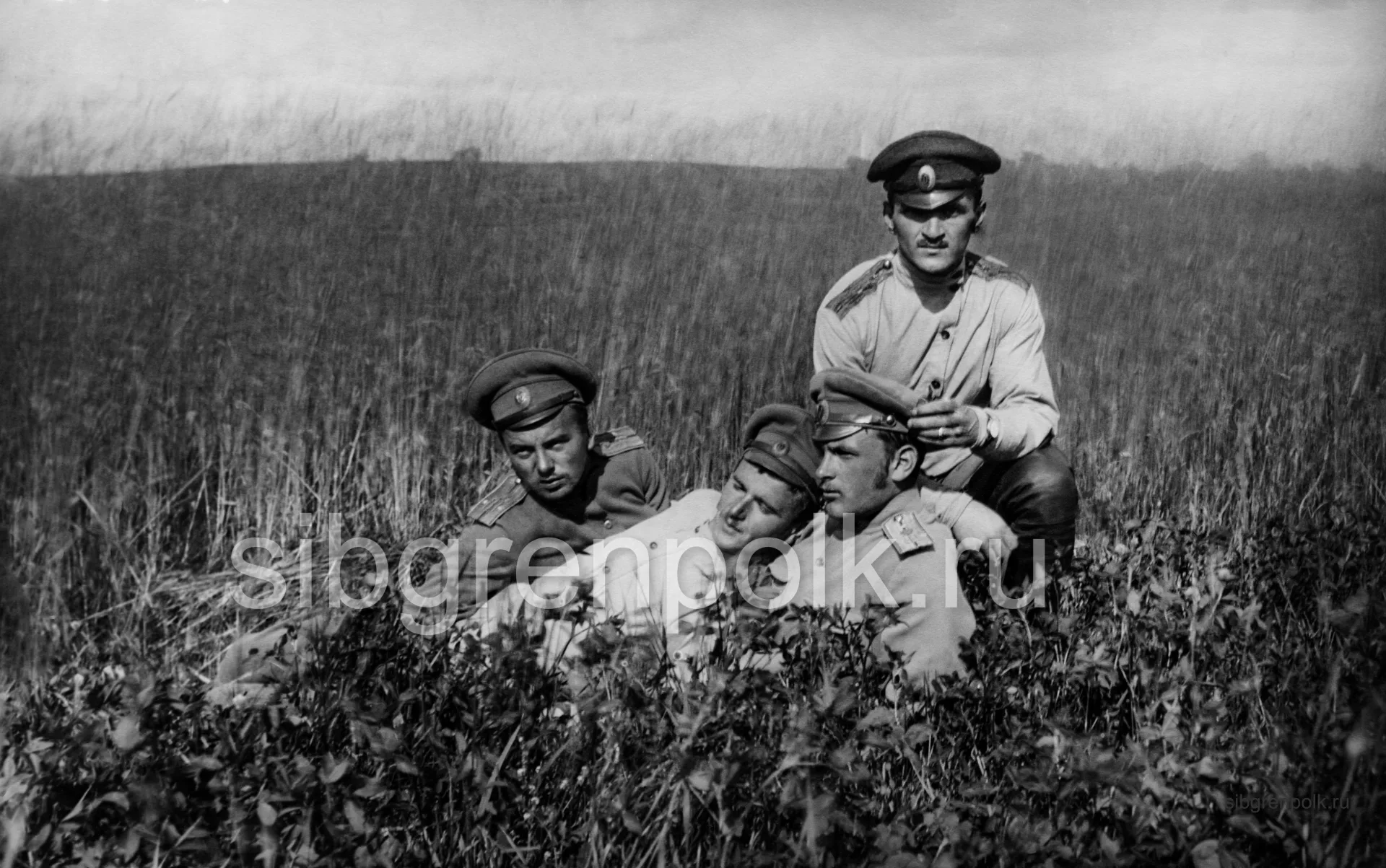 Офицеры полка: (слева направо) командующий 10-й гренадерской роты подпоручик Панов В.Н., командир 2-й гренадерской роты штабс-капитан Соцкий А.Т., ком...