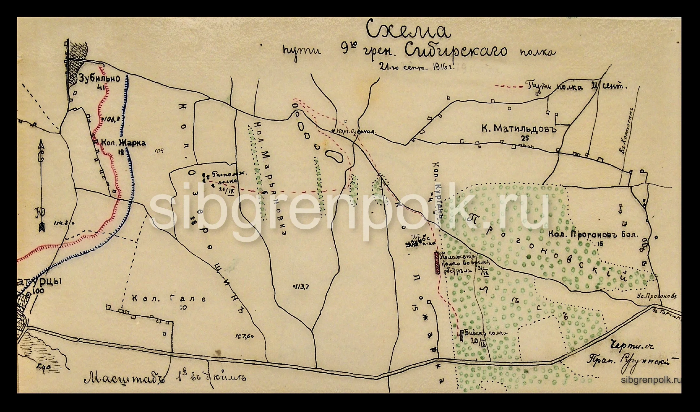 Схема движения 9-го гренадерского Сибирского полка 21-го сентября 1916 года во время боя у д. Затурцы. (РГВИА).